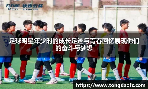 MLB击球仰角革命详解